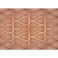 thumbnail image 1 of Ahgly Company Machine Washable Indoor Rectangle Transitional Brown Sand Brown Area Rugs, 2' x 5', 1 of 7