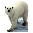 thumbnail image 2 of Polar Bear, 2 of 2