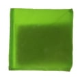 thumbnail image 1 of S SERENABLE Double Layer Cornhole Bag for Tossing Game green, 1 of 6