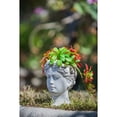 thumbnail image 2 of Greek Style Cement Head Planter, 900ML Capacity Statue Plant Pot for Indoor & Outdoor Home Garden Decor, 2 of 13