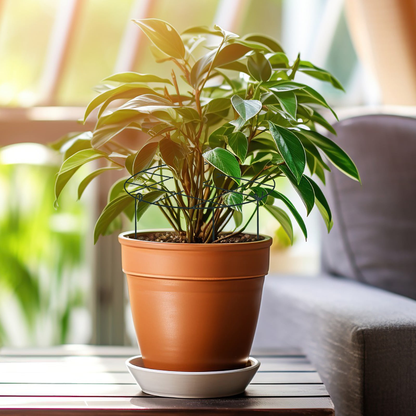 Piquet De Support Pour Plantes, Piquet De Jardin, Tige De Plante Et Tige De Support De Fleur Avec Cage A Anneau De Support 58 Cm 22 8in 10 Pcs 91976415