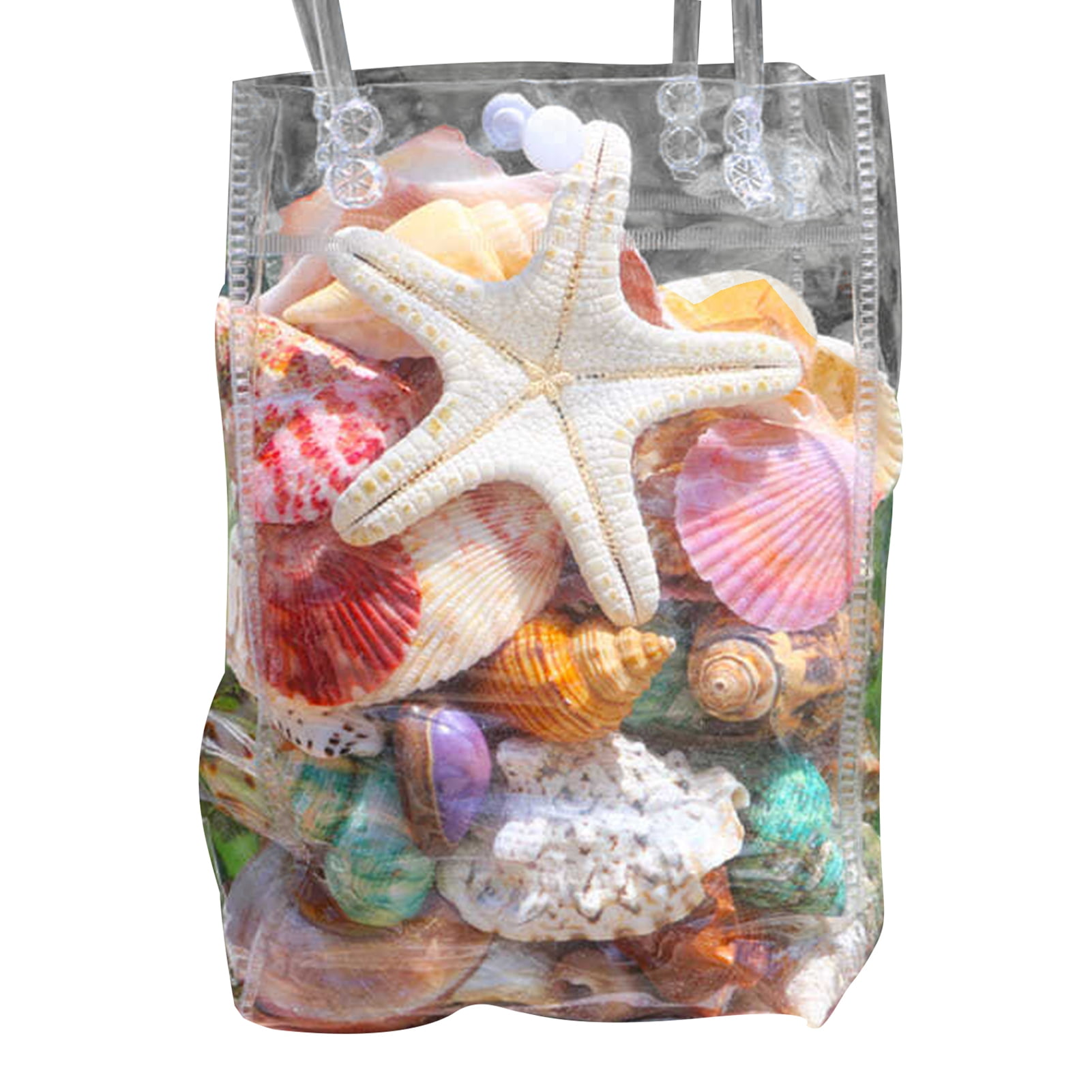 sunsanly 1 Bag Natural Seashells Mixed Ocean Shells Starfish Conch Various Sizes Seashells Set for DIY Crafts Beach Theme Party Fish Tank Filling