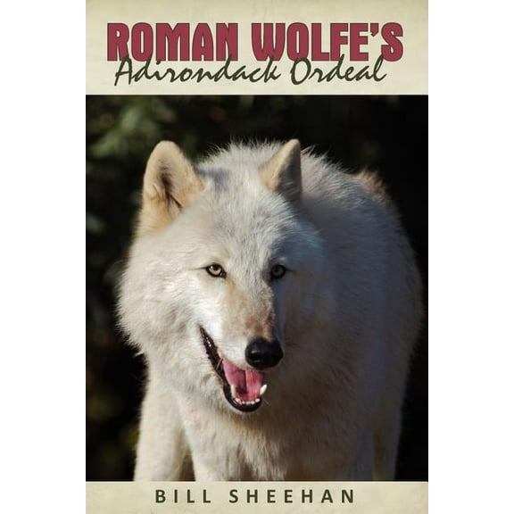 Roman Wolfe's Adirondack Ordeal, (Paperback)