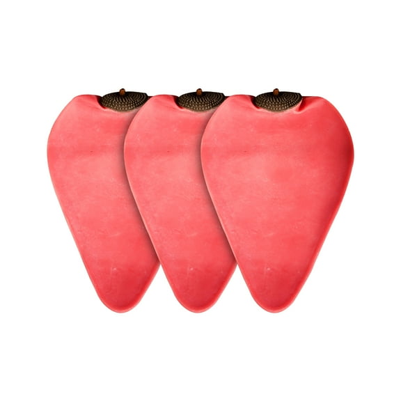 Cleto Reyes Bladder for Striking Bag (1 valve)