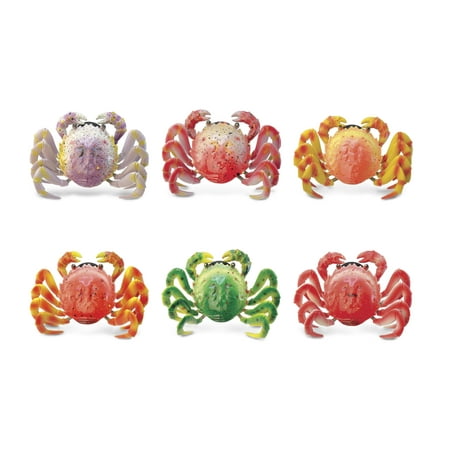 

CoTa Global Wild Crab Refrigerator Bobble Magnets Set of 6 - Assorted Color Fun Cute Ocean Life Animal Bobble Magnets For Kitchen Fridge Lockers Home Decor Cool Office & Decorative Novelty - 6 Pack