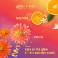 thumbnail image 3 of Febreze Plug In Air Freshener, Odor-Fighting Scented Oil Refill, Summer Golden Hour, 2 Refills, 3 of 12