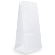 JAM Paper Kraft Lunch Bags, 6 x 11 x 3.75, White, 500/Box, Large