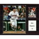 C&I Collectors 1215BREGMAN MLB Plaque de Joueur Alex Bregman Houston Astros – image 1 sur 1