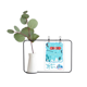 thumbnail image 1 of Deporte el equipo de esqui Cartoon Illustration Jarrones colgantes de vidrio transparente Decoración Botella, 1 of 4