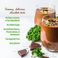 thumbnail image 5 of Orgain Organic Vegan 21g Protein & Greens Powder, Plant Based, Non-GMO, Chocolate 1.94lb, 5 of 8