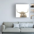 thumbnail image 3 of James Wiens 'Highland Cow Sepia Sq' Canvas Art, 3 of 3