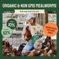 thumbnail image 4 of Hatortempt Gusanos de Harina Secos 4.5 kg Alimento para Aves Alto en Proteína, 4 of 9
