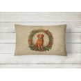 thumbnail image 2 of Carolines Treasures DAC2400PW1216 16 x 12 in. Unisex Nova Scotia Duck Tolling Retriever Christmas Flowers Polyester Fabric Throw Pillow, 2 of 4