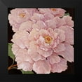 thumbnail image 2 of Kruskamp, Janet 12x12 Black Modern Framed Museum Art Print Titled - Fuschia Peonies, 2 of 5