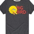 thumbnail image 3 of Sesame Street - Big Bird - Toddler and Youth Short Sleeve Graphic T-Shirt, 3 of 5