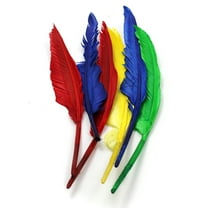Charles Leonard Quill Feathers, 10" & 12", 6 Per Pack, 12 Packs