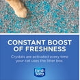 thumbnail image 3 of Fresh Step Cat Litter Crystals In Tropical Breeze Scent - Cat Litter Box Deodorizer - Combats Cat Odors and Neutralizes Smells to Keep Your Home Clean 15 Ounces - 12 Pack, 3 of 5