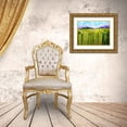 thumbnail image 3 of Friedlander, Allen 24x19 Gold Ornate Wood Framed with Double Matting Museum Art Print Titled - Flower Hedge, 3 of 4