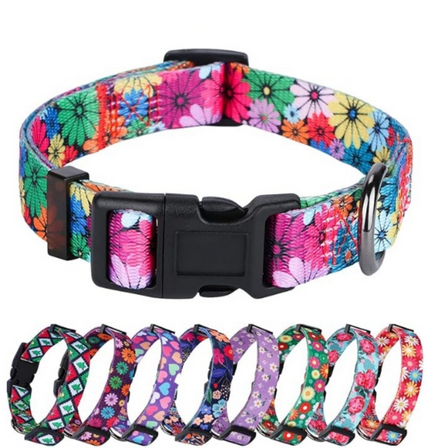 Rose Dog Collar for Small Dogs Floral Pattern for Girl boy Dogs Small