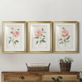 thumbnail image 5 of Grandiflora I Premium Framed Prints Set of 3 - Ready to Hang - 18 x 24 Each - Gold Frame, 5 of 9