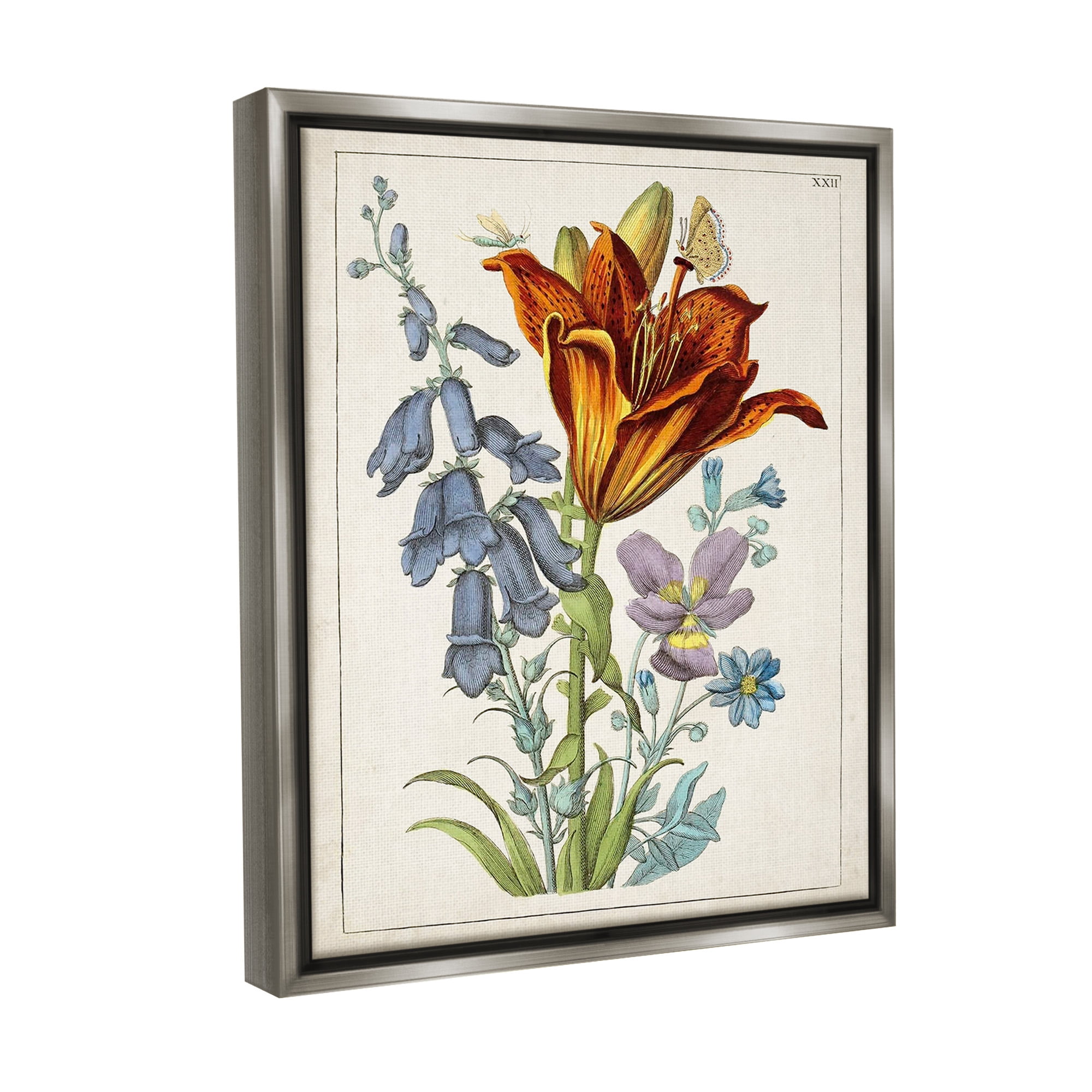Stupell Industries Bugs & Vintage Flowers Botanical & Floral Painting Gray Floater Framed Canvas Art Print Wall Art, 17 x 21