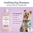 thumbnail image 2 of Bobbi Panter Botanical Line Soothing For Dogs, 14-oz bottle, 2 of 5