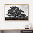 thumbnail image 3 of Unframed Canvas Print Wall Art Sunlight Shines ThroughMountain Tree Floral Nature Photography Realism Expressive Dark Black and White for Living Room, Bedroom, Office, 3 of 3