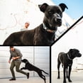 thumbnail image 7 of Wolfgang Heavy Duty Adjustable Dog Harness, Pull-Tested to Over 800 lbs for Walking & Training, LosMuertos Print, Small, 7 of 7