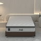 thumbnail image 5 of Colchon individual Shine + 1 Almohada Sealy Active, 5 of 7