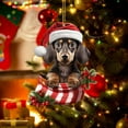 thumbnail image 3 of Holloyiver Christmas Ornament, Funny Dog Christmas Tree Ornament, Dachshund Christmas Decorations, Dog Lovers Gift Idea Xmas Decor, Dachshund Ornaments for Christmas Tree Car Backpacks, 3 of 7