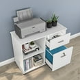 thumbnail image 3 of Tribesigns 2-Drawer File Cabinet, Mobile Lateral Filing Cabinet with Lock and Wheels, Storage Cabinet Pinter Stand with 2 Open Shelves for Home Office, 3 of 6