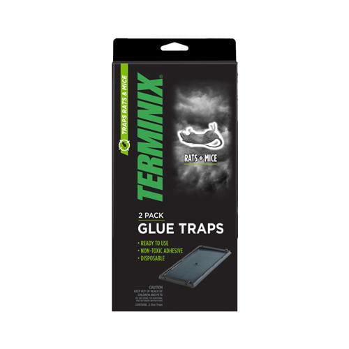 AP & G 12 Pack Mouse Glue Trap Terminix 