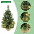 thumbnail image 2 of Mistaha Small 24-Inch Christmas Tree with Mixed Pine Needles and Burlap Base, Includes Warm White LED Lights - Festive Tabletop Holiday Decor, 2 of 6