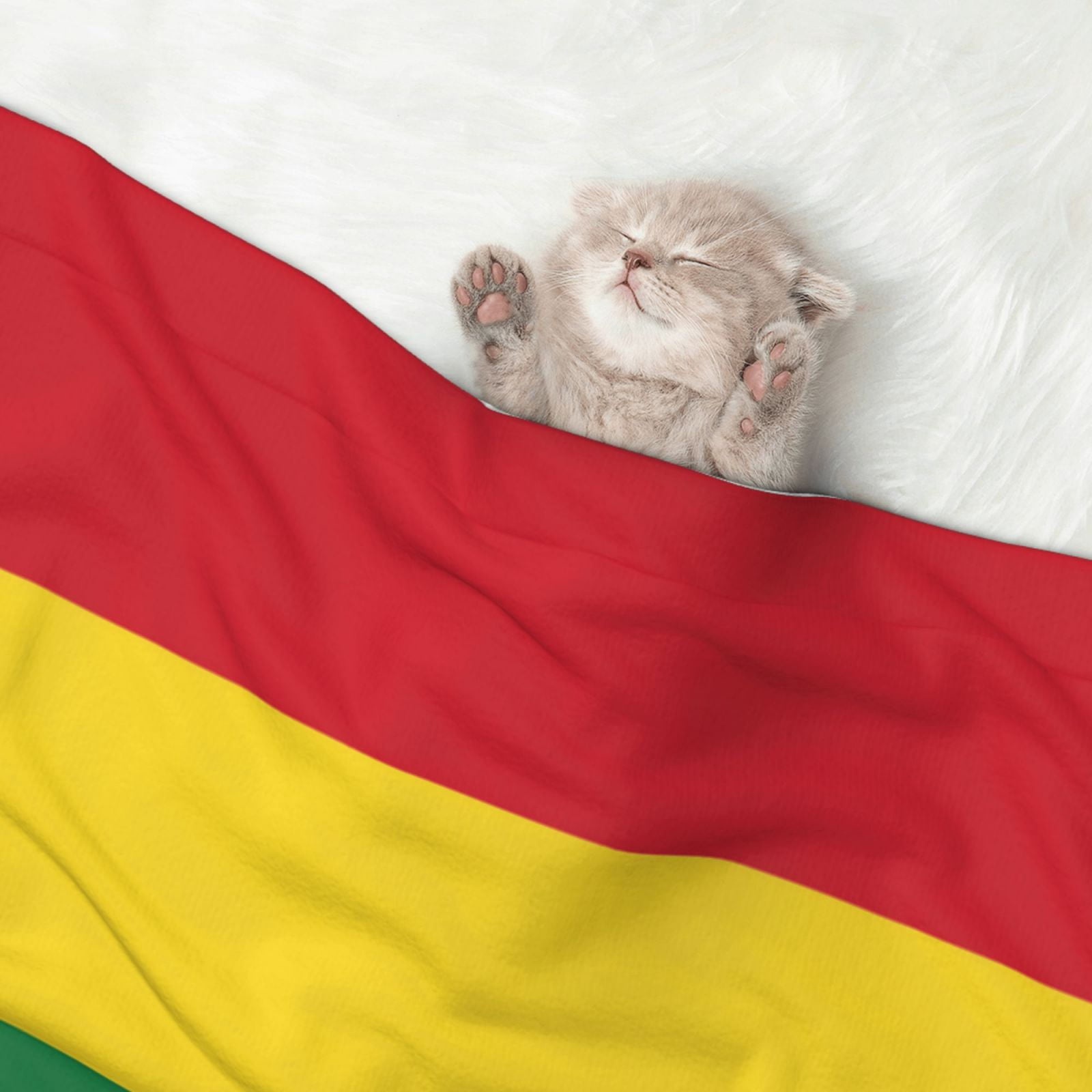 Flannel Throw Dog Blanket Reggae Rasta Flag Soft Warm Print Pet Blankets for Small Dog Cat Puppy