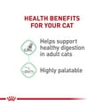 thumbnail image 5 of Royal Canin Feline Nutrition Digestive Sensitive Thin Slices in Gravy Canned Cat Food 3-oz, case of 12, 5 of 8