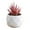 Multicolor D, variant on Mini Artificial Succulent in Plastic Pot - Fake Plants for Indoor Office Home Decor, Perfect Gift for Women, Low Maintenance Faux Plant for Kitchen, Living Room, Bedroom, and More