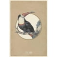 thumbnail image 3 of Waltz, Anne 11x14 Black Modern Framed Museum Art Print Titled - Toekan, 3 of 5