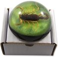 thumbnail image 2 of 25 Golden Scorpion Dome Paperweight Green, 2 of 4
