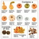 thumbnail image 4 of Fiudx Juego de Decoración Artificial de Otoño, 86 Piezas de Calabazas, Hojas de Arce, Bellotas y Piñas, Ligero y Fácil de Aplicar, Ideal para Fiestas de Acción de Gracias y Halloween, Decoración de J, 4 of 7