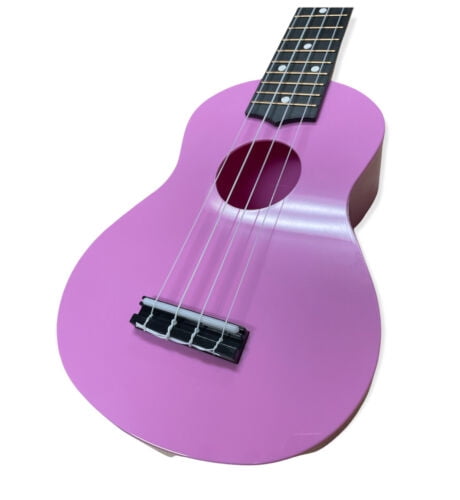 YiPaiSi Soprano Ukulele, 21 Inch Starter Guitar, Amateur