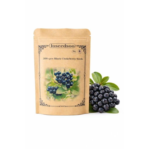 Black Chokeberry Seeds 300 for Planting – Aronia Melanocarpa Berry Seeds, Non-GMO Heirloom Shrub Seeds for Garden, Outdoor Planting, High Germination, loseedsoo