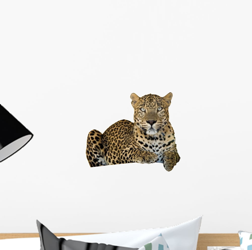 Leopard Wall Decal by Wallmonkeys Peel and Stick Graphic (12 in W x 8