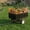 Orange + Black, variant on Garvee Heavy Duty ATV Trailer, 750 lbs Capacity Alloy Steel Utility Garden Dump Cart, Tow Behind Yard Wagon for Lawn Mower and Tractor