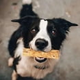 thumbnail image 4 of Fieldcrest Farms Nothin' To Hide Roll Dog Treat Chicken 24ea/5 in, SM, 1 pk, 4 of 6