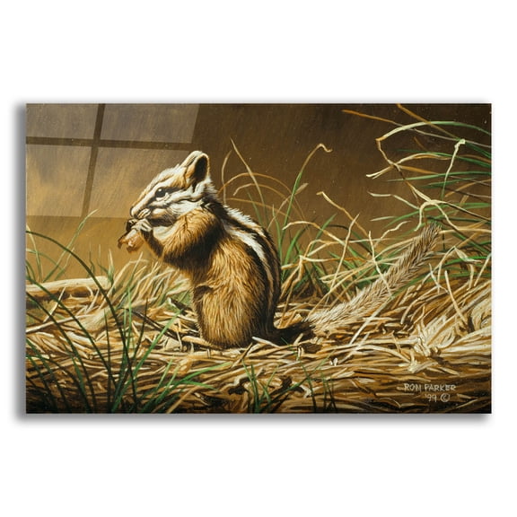 Epic Art 'Chipmunk' by Ron Parker, Acrylic Glass Wall Art, 24"x16"