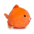 thumbnail image 4 of Snuggle Chubs | 10 in. stuffed animal, Sunny the Goldfish, 4 of 4