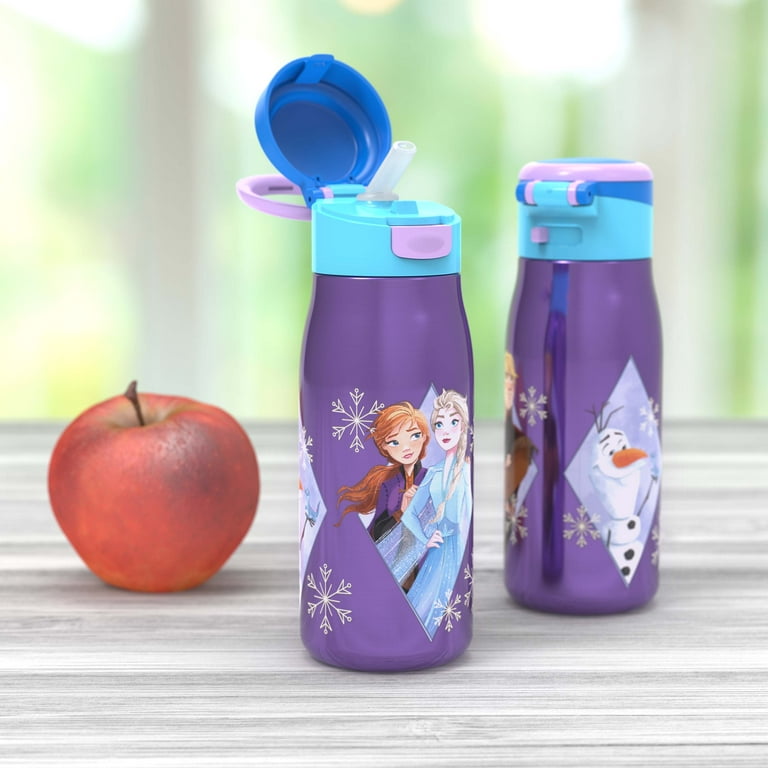 Zak Designs Disney 13.5 Ounce Stainless Steel Insulated Water Bottle,  Frozen 2 