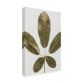 thumbnail image 3 of Trademark Fine Art Shot by Clint Autum Leaf Canvas Wall Art, 3 of 4