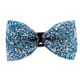 thumbnail image 2 of Sonducket Lazos de diamantes de imitación, lazos de cristal, corbata ornamental ostentosa, accesorio de ropa ajustable a la moda para banquetes y Accesorios de disfraces dos Sonducket AP009820-02B, 2 of 6