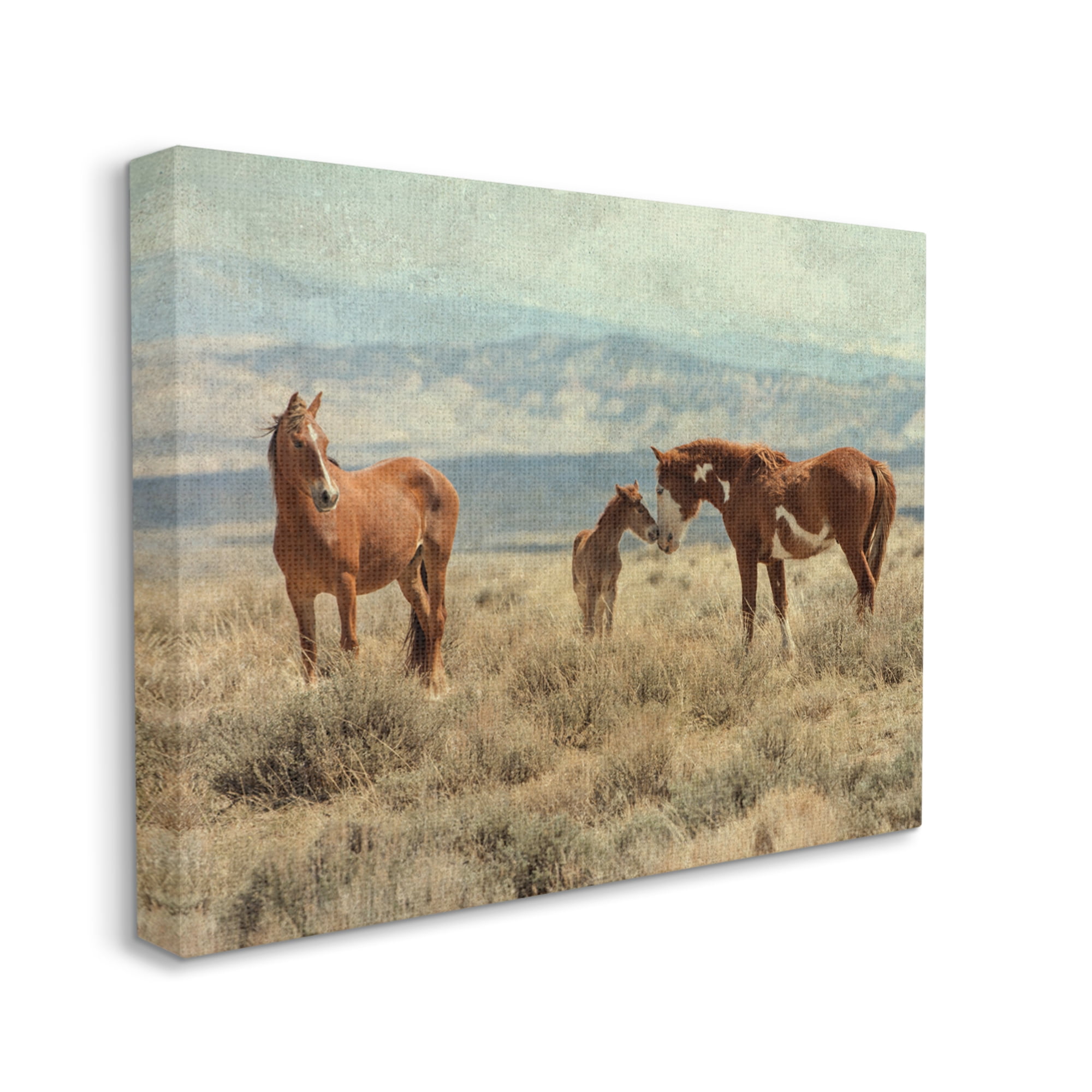 Stupell Industries Heartening Horse Foal Family Scenic Mountain Clouds Photograph Gallery Wrapped Canvas Print Wall Art, Design by Jan Walters